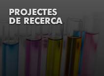 Projectes de recerca