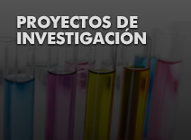 Proyectos de investigación