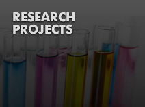 Research projects